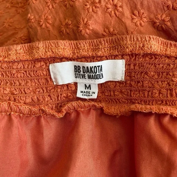 BB Dakota Steve Madden Mini Dress Size Medium Embroidered Ruffle Sleeve - Picture 6 of 6